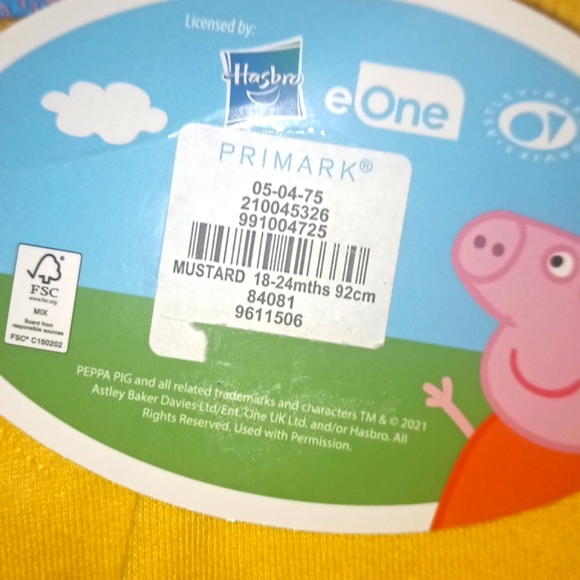 NWT-PRIMARK-PEPPA.PIG SWEATSHIRT-SOCKS & GYMBOREE SWIM.SHIRT UNISEX - Picture 10 of 10